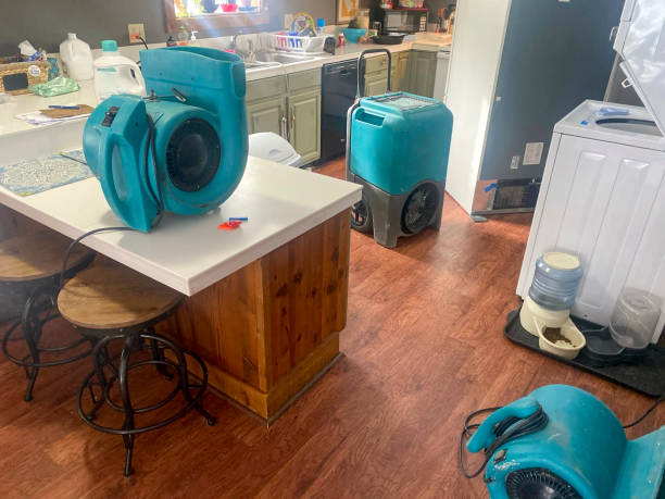 Best 24/7 water damage repair  in Abbotsford, WI