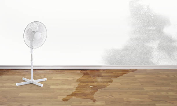 Best Sewage cleanup and water damage restoration  in Abbotsford, WI