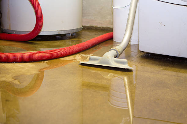 Best Carpet water damage restoration  in Abbotsford, WI