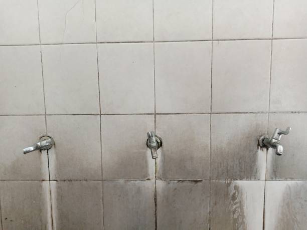 Best Professional water damage repair  in Abbotsford, WI