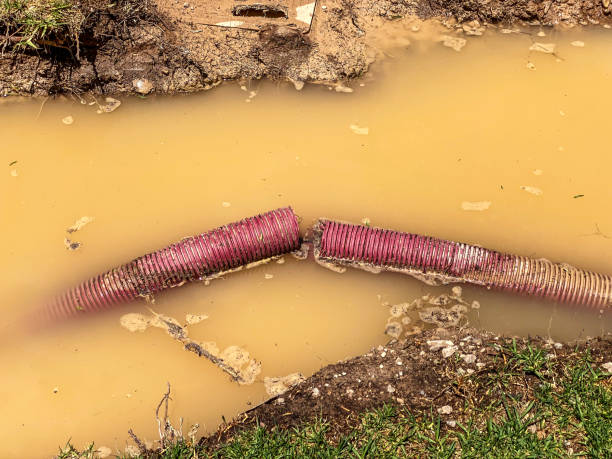 Best Water damage restoration near me  in Abbotsford, WI