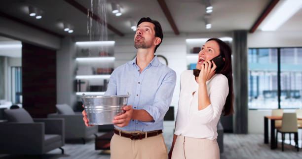 Best Water damage cleanup near me  in Abbotsford, WI