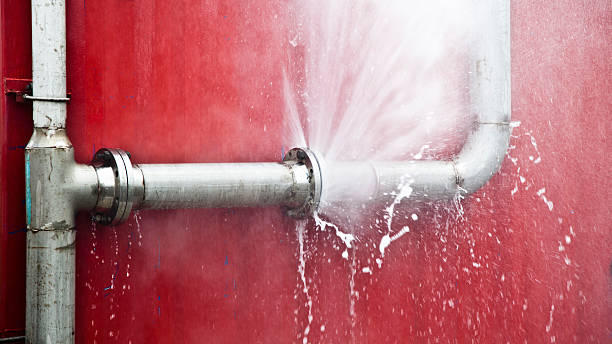 Best Water damage restoration specialists  in Abbotsford, WI