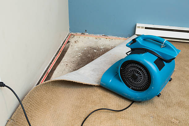  Abbotsford, WI Water damage restoration Pros